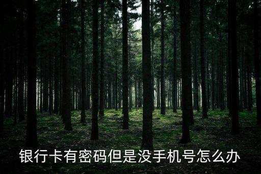 銀行卡有密碼但是沒手機號怎么辦