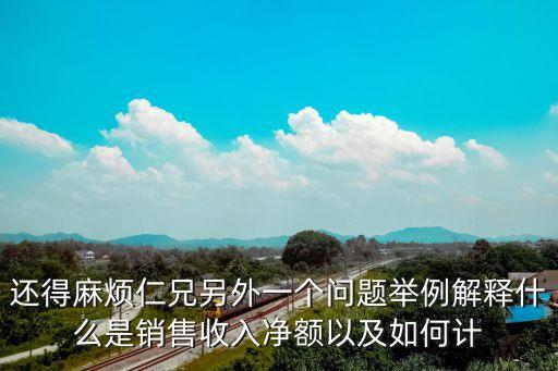 還得麻煩仁兄另外一個問題舉例解釋什么是銷售收入凈額以及如何計