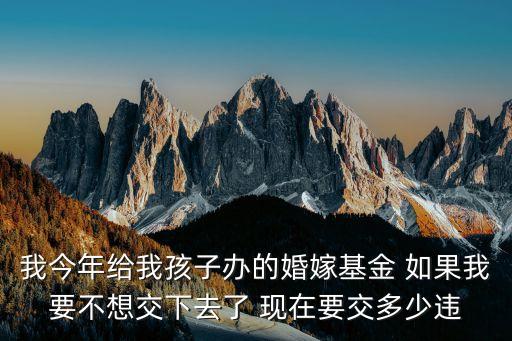 我今年給我孩子辦的婚嫁基金 如果我要不想交下去了 現(xiàn)在要交多少違