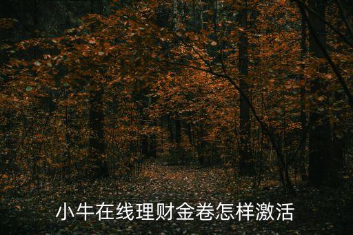 小牛在線理財(cái)金卷怎樣激活