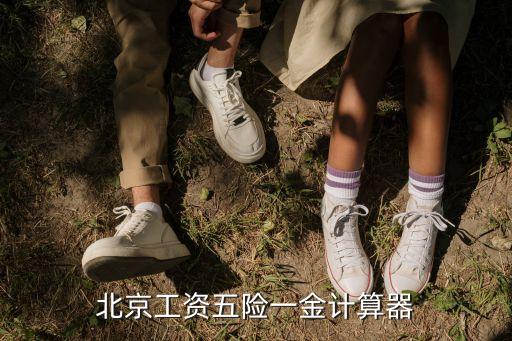 北京五險一金怎么計算器，北京五險一金是怎么算的