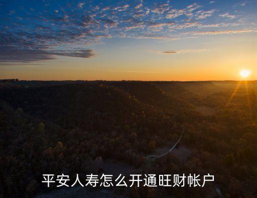 旺財帳戶怎么開，怎么開通旺旺帳號