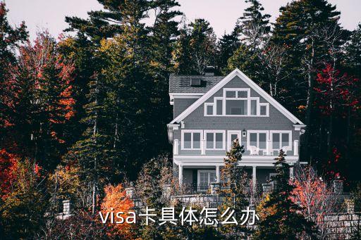 visa卡具體怎么辦