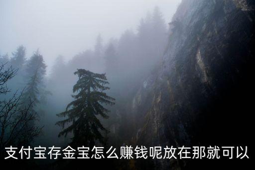 存金寶是怎么收益的，支付寶存金寶怎么賺錢呢放在那就可以