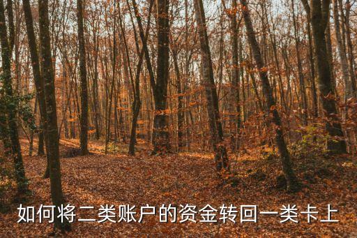 銀行二類卡怎么轉(zhuǎn)賬，郵政儲(chǔ)蓄銀行2類銀行卡可以轉(zhuǎn)帳嗎