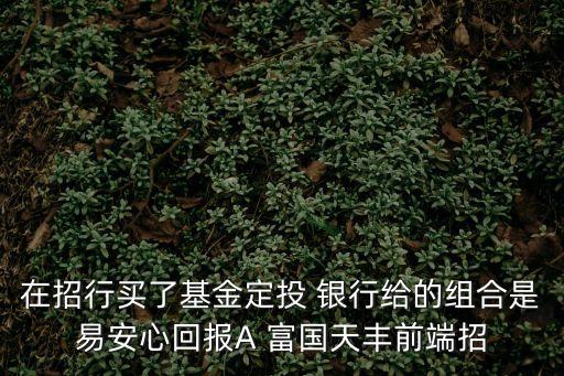 在招行買了基金定投 銀行給的組合是易安心回報(bào)A 富國(guó)天豐前端招