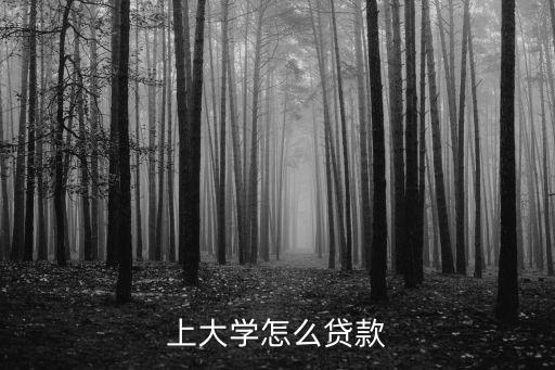 貸款上大學(xué)怎么貸款嗎，可以貸款讀大學(xué)嗎如何貸款