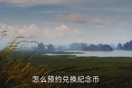 怎么預約兌換紀念幣
