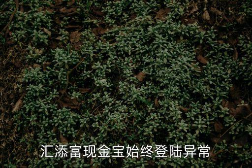 匯添富現(xiàn)金寶始終登陸異常