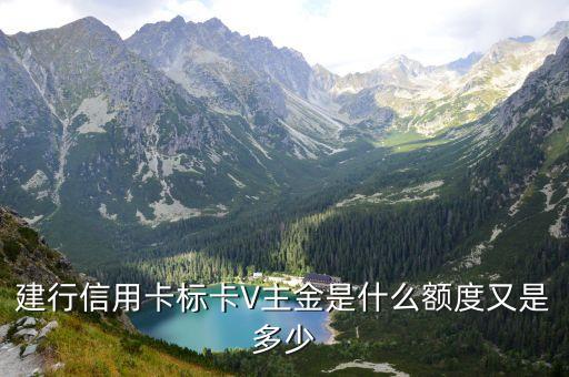 建行信用卡標(biāo)卡V主金是什么額度又是多少