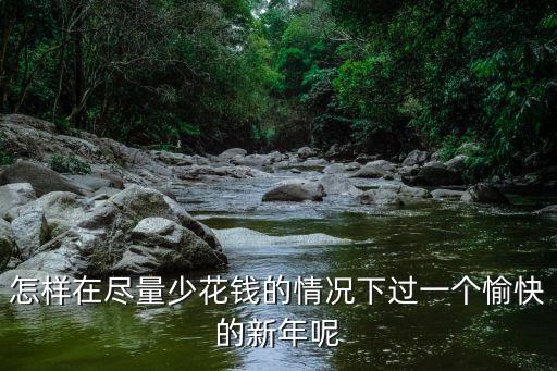 怎樣在盡量少花錢的情況下過一個(gè)愉快的新年呢