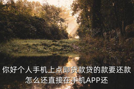 你好個(gè)人手機(jī)上點(diǎn)即貸款貸的款要還款怎么還直接在手機(jī)APP還