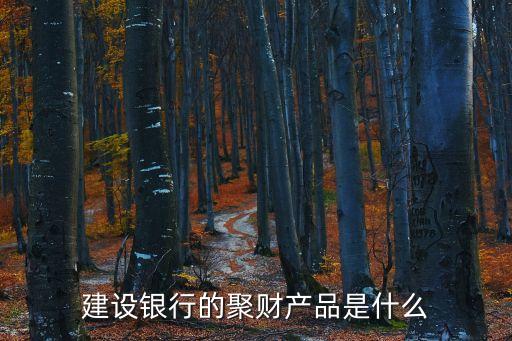建行聚財(cái)寶怎么沒(méi)了，建設(shè)銀行發(fā)短信說(shuō)購(gòu)買(mǎi)的聚財(cái)我根本沒(méi)買(mǎi)什么聚財(cái)