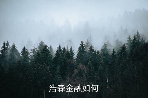 浩森金融工作怎么樣，誰用過浩森金融具體如何呢