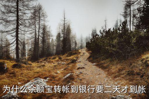 余額寶兩天到賬怎么回事，余額寶轉(zhuǎn)賬到賬時(shí)間怎么變成2天了