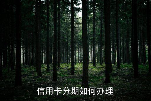 怎么分期，購車的分期付款怎么辦理