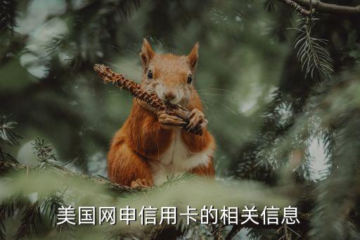 怎么辦美國(guó)BOA信用卡，怎樣在美國(guó)BOA銀行開(kāi)設(shè)賬戶(hù)流程