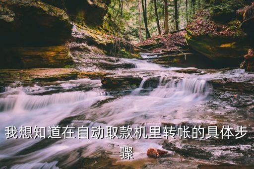 atm機(jī)怎么轉(zhuǎn)賬圖解，我想知道在自動(dòng)取款機(jī)里轉(zhuǎn)帳的具體步驟