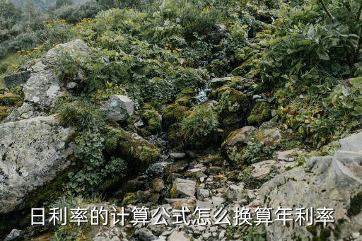 日利率的計算公式怎么換算年利率