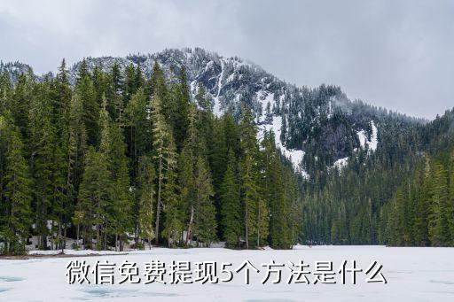 微信免費(fèi)提現(xiàn)5個(gè)方法是什么