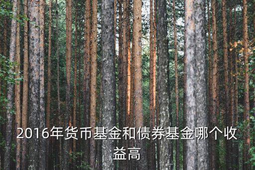 2016年債券基金怎么樣，債券基金2016年走勢分析