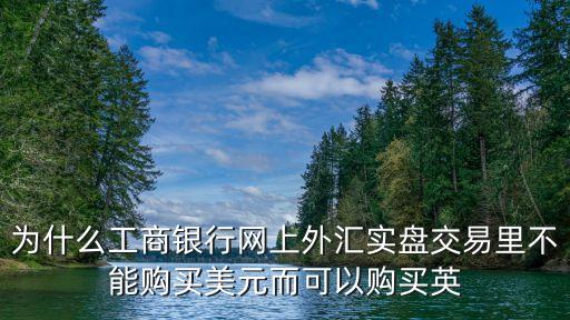 為什么工商銀行網(wǎng)上外匯實(shí)盤交易里不能購買美元而可以購買英