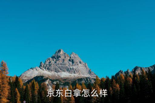 京東白拿怎么樣