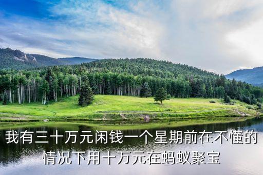 我有三十萬(wàn)元閑錢一個(gè)星期前在不懂的情況下用十萬(wàn)元在螞蟻聚寶