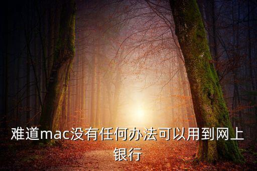 蘋(píng)果電腦怎么安建行，蘋(píng)果電腦下載建行e路通