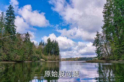 原始股問題