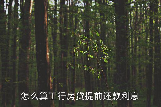工行等額本息怎么算，工銀等額本息是如何計(jì)算