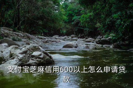 芝麻分600以上怎么貸款，芝麻信用分600能用什么貸款