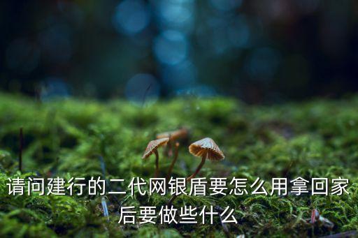 公司建行二個(gè)盾怎么用，建行的二代網(wǎng)銀盾怎么用