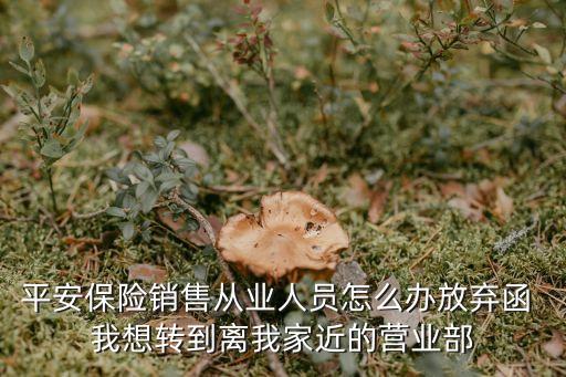 中國平安放棄函怎么寫，請教在平安保險沒下代碼只讓推薦人簽放棄函對再次上崗有沒有影