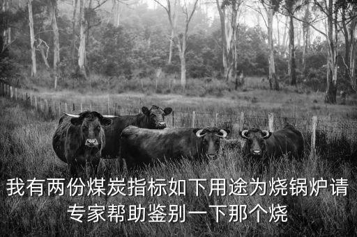 我有兩份煤炭指標如下用途為燒鍋爐請專家?guī)椭b別一下那個燒