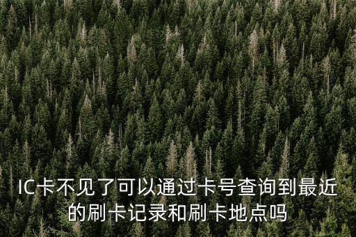怎么查ic卡里面的消費記錄，IC卡不見了可以通過卡號查詢到最近的刷卡記錄和刷卡地點嗎