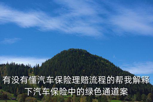 有沒(méi)有懂汽車(chē)保險(xiǎn)理賠流程的幫我解釋下汽車(chē)保險(xiǎn)中的綠色通道案