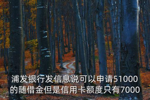 浦發(fā)銀行發(fā)信息說可以申請51000的隨借金但是信用卡額度只有7000