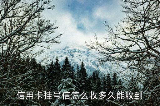 信用卡掛號信怎么收取，接收信用卡掛號信收費嘛