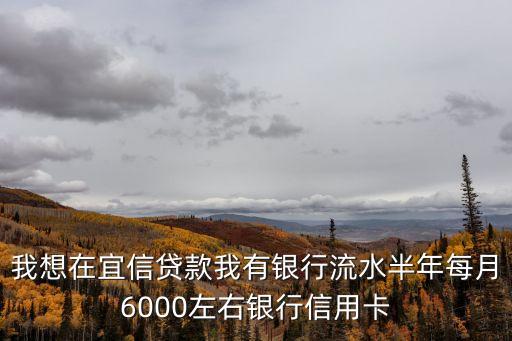 宜信沒工作怎么貸，我上個月在宜信公司貸過款家里有事回家去了現(xiàn)在沒工作還能貸嗎