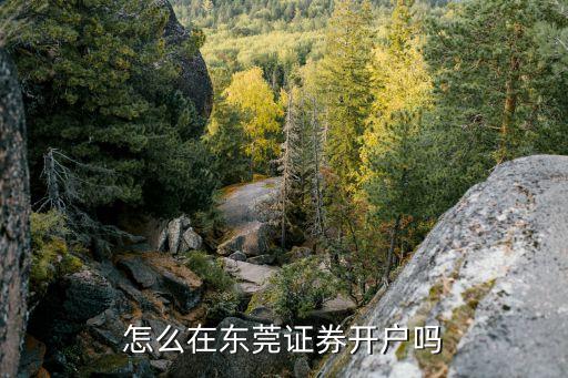 東莞證券怎么網(wǎng)上開戶，怎么在東莞證券開戶嗎