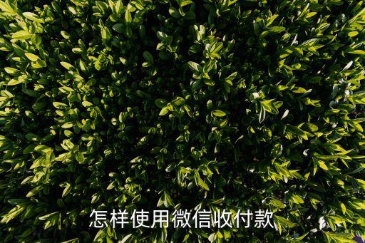 怎樣使用微信收付款