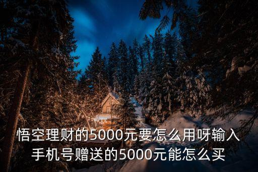 悟空理財(cái)虛擬金怎么用，悟空理財(cái)注冊(cè)送5000體驗(yàn)金 悟空理財(cái)體驗(yàn)金怎么用