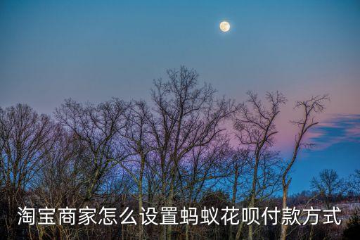 淘寶商家怎么設置螞蟻花唄付款方式