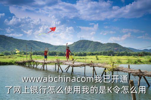 wwwabchinacom我已開(kāi)通了網(wǎng)上銀行怎么使用我的是K令怎么用