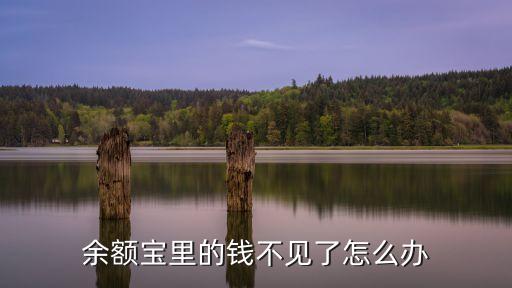余額寶消失了 錢怎么辦，余額寶里的錢不見了怎么辦