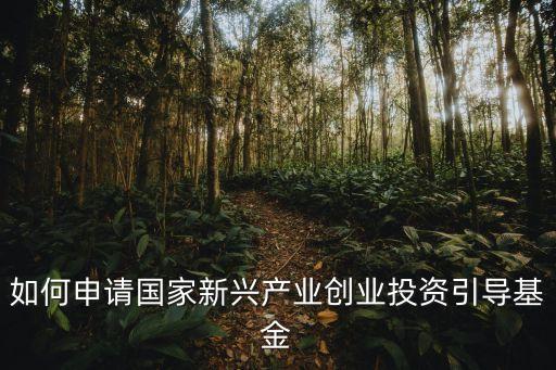 如何申請國家新興產(chǎn)業(yè)創(chuàng)業(yè)投資引導基金