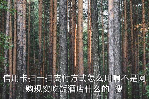 信用卡掃一掃支付方式怎么用啊不是網(wǎng)購現(xiàn)實吃飯酒店什么的  搜