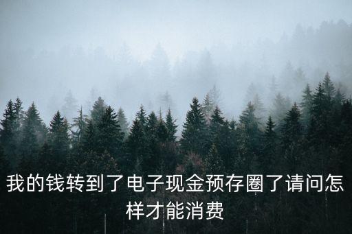 電子現(xiàn)金圈存怎么消費，我的錢轉(zhuǎn)到了電子現(xiàn)金預(yù)存圈了請問怎樣才能消費