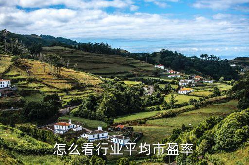 行業(yè)平均市盈率怎么查，如何查找某行業(yè)或板塊的平均市盈率